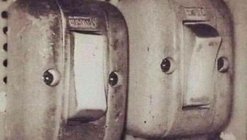 Kurang mulut doang. Foto: (Bored Panda).