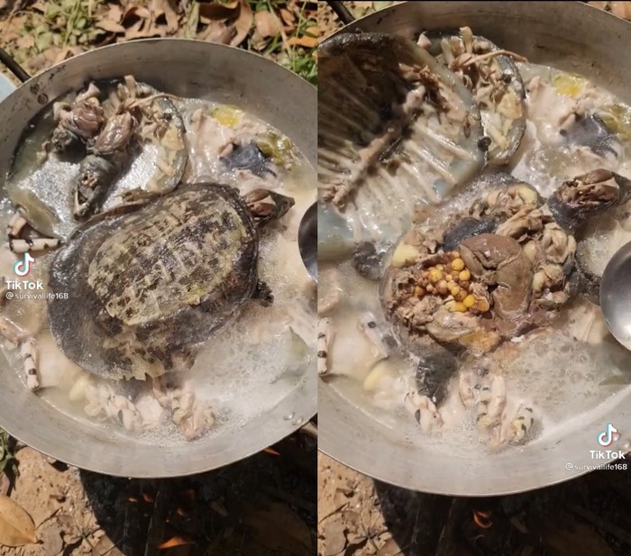 Bukannya Bikin Lapar, 10 Makanan Ini Malah Bikin Mual