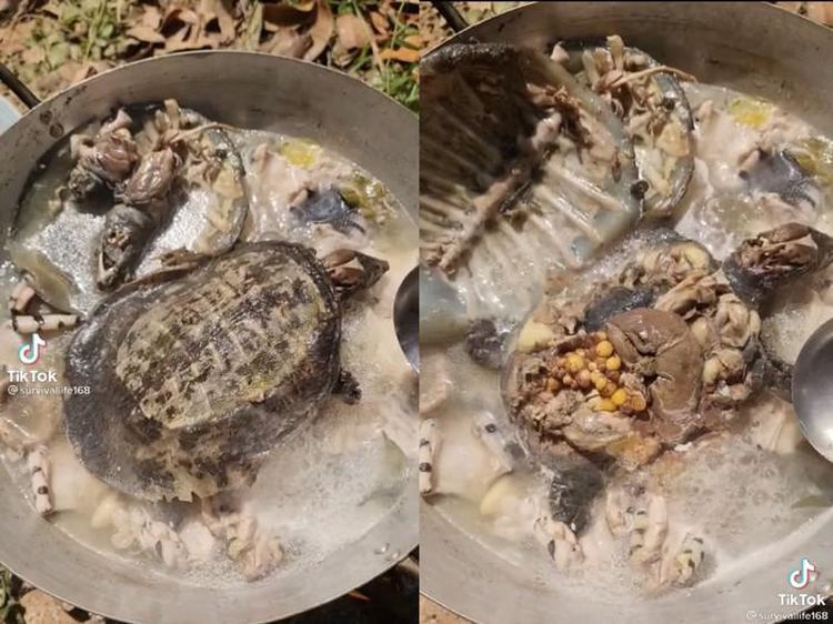 Bukannya Bikin Lapar, 10 Makanan Ini Malah Bikin Mual