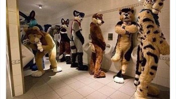 Nah, kalau isi kamar mandinya seperti ini, masih mau masuk? Foto: (Bored Panda).