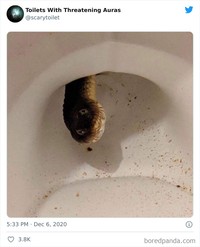 Daftar Kamar Mandi Paling Aneh dan Seram, Berani Coba?