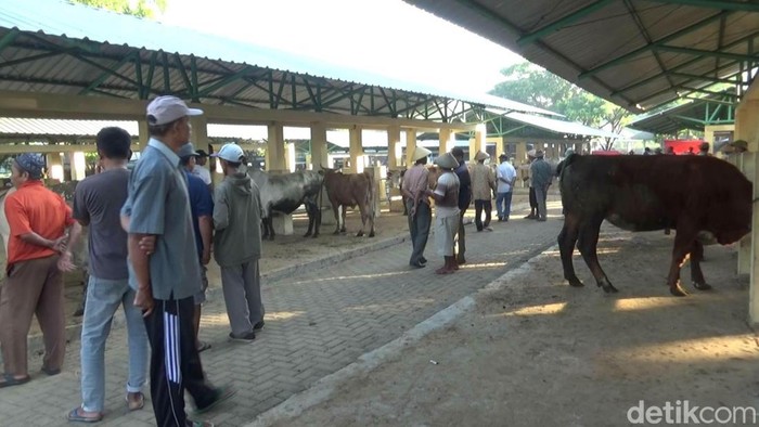 Suasana di Pasar hewan Munggi, Semanu. Foto diunggah pada Minggu (29/5/2022).