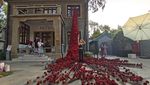 Wow, Air Terjun di China ini Penuh Bunga Mawar Lho