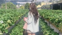 Pelantun lagu Pawang Buaya ini sedang berada di kebun organik. Ia terlihat hendak memetik sayuran-sayuran segar yang siap dikonsumsi.