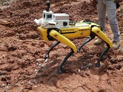 Canggih! Ini Deretan Robot-robot Pekerja di Singapura