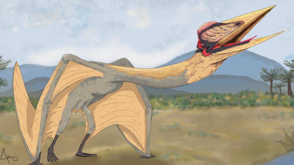 Fosil Reptil Terbang Naga Kematian Ditemukan di Argentina