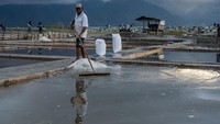 Tak hanya petani kopi, sejumlah petani garam di Palu, Sulawesi Tengah, juga mengaku mengalami penurunan produksi garam selama tahun ini. (Basri Marzuki/Antara Foto).