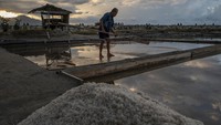 Sejumlah petani garam di wilayah itu mengaku mengalami penurunan produksi garam selama tahun ini sekitar 20 persen dibanding sebelumnya karena faktor anomali cuaca. (Basri Marzuki/Antara Foto).  