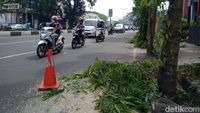 Belasan Pohon Ditebang Untuk Pembangunan Pedestrian Kayutangan Heritage