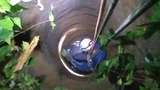 Damkar Bogor Evakuasi 3 Kucing Tercebur ke Sumur, 1 Mati Tenggelam