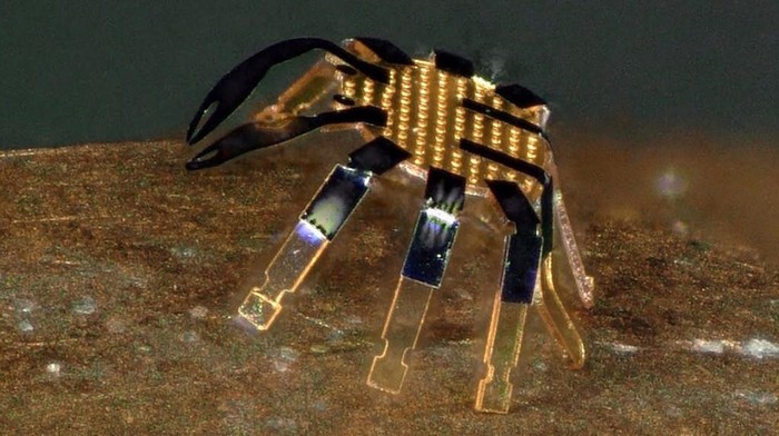 Robot terkecil di dunia