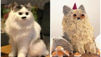Tidak begitu buruk lah untuk pertama kali bikin kue. Dok. Boredpanda