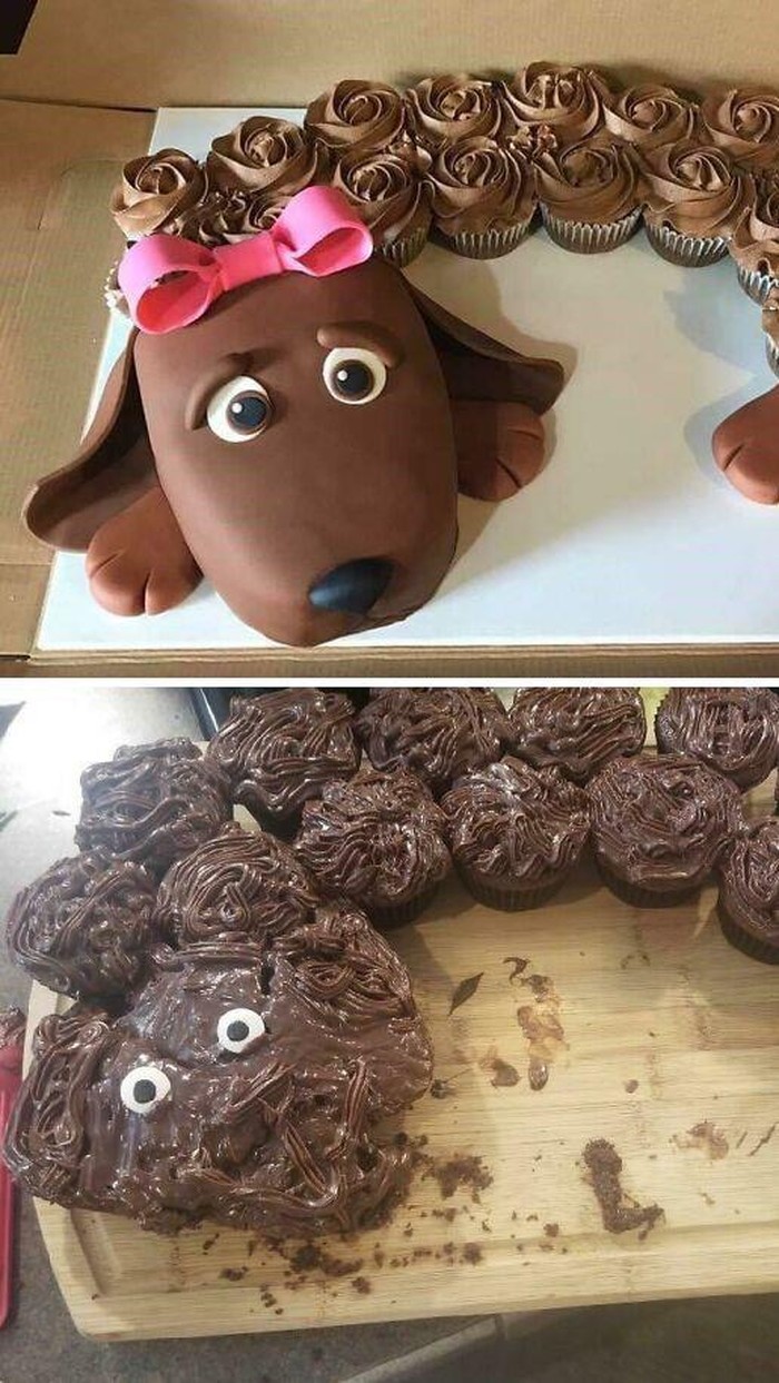 10 Potret Kue yang Gagal, Sedih Tapi Juga Bikin Ngakak 10 Potret Kue yang Gagal, Sedih Tapi Juga Bikin Ngakak