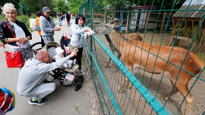 1241006554 A visitor feeds an animal at the Odesa Zoo, in Odesa, Ukraine on 29 May 2022. Odessa Zoo has been located near the Privoz market since 1938. The collection of the Odesa Zoo contains over 260 species, about 1570 specimens of animals, including about 50 species listed in the Red Book of Ukraine and the International Red Book, as media informed. (Photo by STR/NurPhoto via Getty Images)