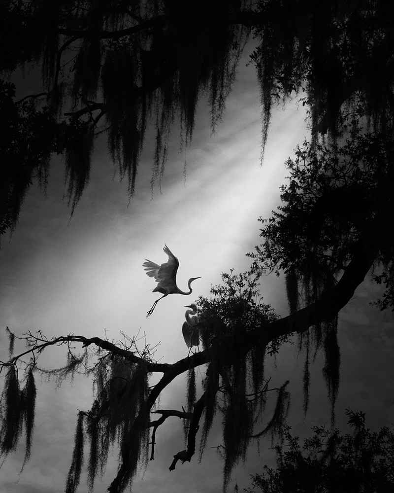 All About Photo Awards 2022