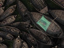 Karya Jawara Kontes Foto Ini Bikin Terkesima, Ada dari Indonesia