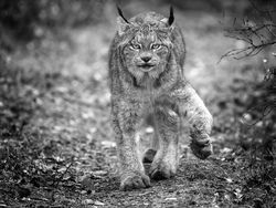 Karya Jawara Kontes Foto Ini Bikin Terkesima, Ada dari Indonesia