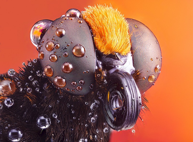 All About Photo Awards 2022