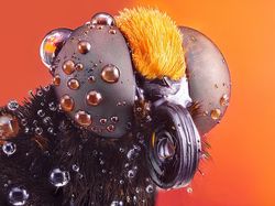 Karya Jawara Kontes Foto Ini Bikin Terkesima, Ada dari Indonesia