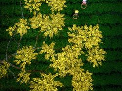 Karya Jawara Kontes Foto Ini Bikin Terkesima, Ada dari Indonesia