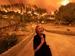 Karya Jawara Kontes Foto Ini Bikin Terkesima, Ada dari Indonesia
