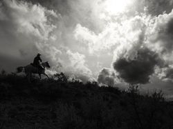 Karya Jawara Kontes Foto Ini Bikin Terkesima, Ada dari Indonesia