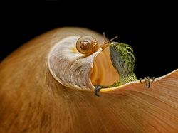 Karya Jawara Kontes Foto Ini Bikin Terkesima, Ada dari Indonesia