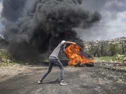 Karya Jawara Kontes Foto Ini Bikin Terkesima, Ada dari Indonesia