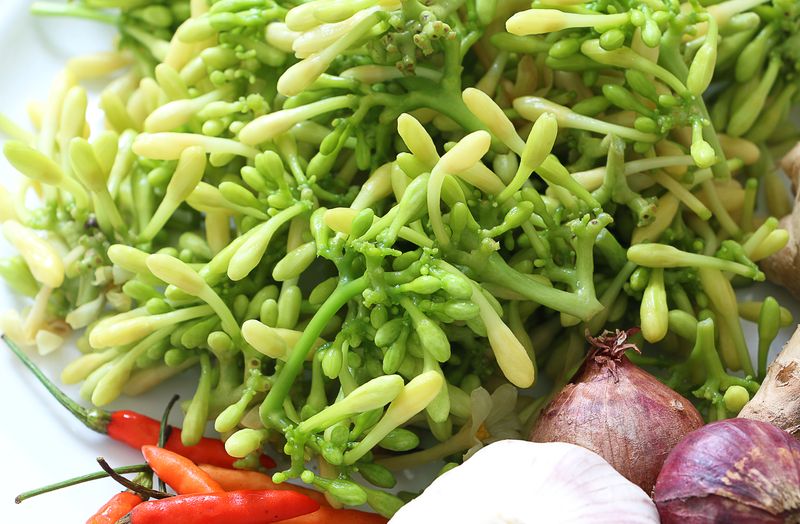 Bunga pepaya untuk tumisan