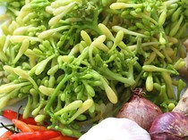 10 Bunga yang Bisa Dimakan dan Manfaatnya, Ada Melati hingga Lavender