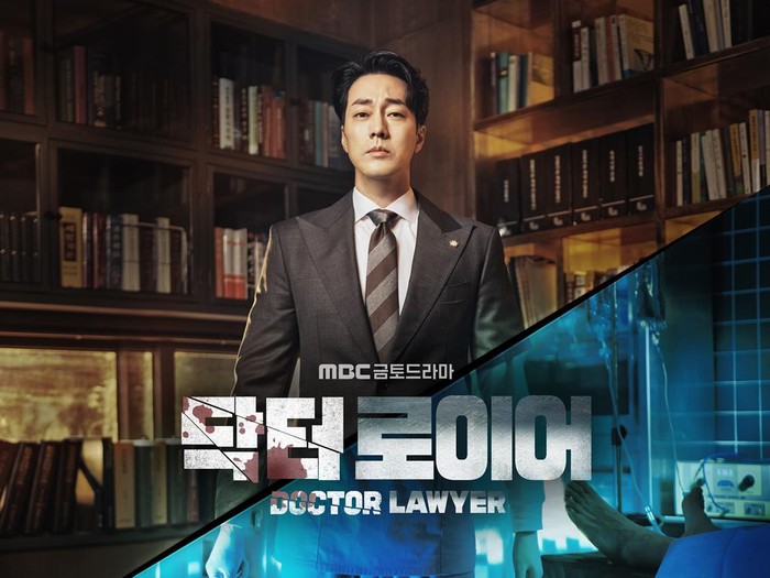 Drama Korea Doctor Lawyer