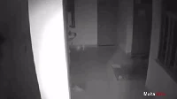 Kamera CCTV di dalam rumah ini berhasil menarik bayangan putih yang berjalan keluar dari dapur dan ruangan keluarga. Hii.. seram!  Foto: Pool/Site News