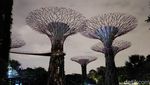 Pesona Gardens by the Bay Saat Malam Hari