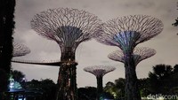 Supertree Grove yaitu menara setinggi 25-30 meter yang tubuhnya dihiasi oleh tanaman. Dan pada malam hari, kamu bisa melihat supertree untuk bercahaya karena lampu yang mengelilinginya.  Namun, kami kurang beruntung, saat datang ke sana Supertree Grove sedang dalam renovasi dan lampunya tidak menyala.