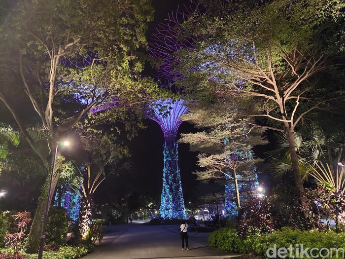 Gardens by the Bay pada malam hari