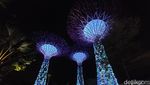 Pesona Gardens by the Bay Saat Malam Hari