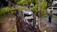 Hasilnya, puluhan mobil pun tertimpa pohon tumbang.