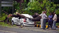Banyaknya pohon tumbang dan mobil yang tertimpa membuat petugas setempat kewalahan.