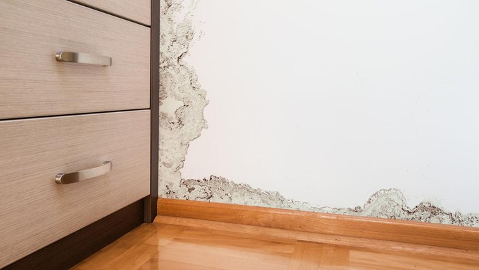 Mold and moisture buildup on wall of a modern house