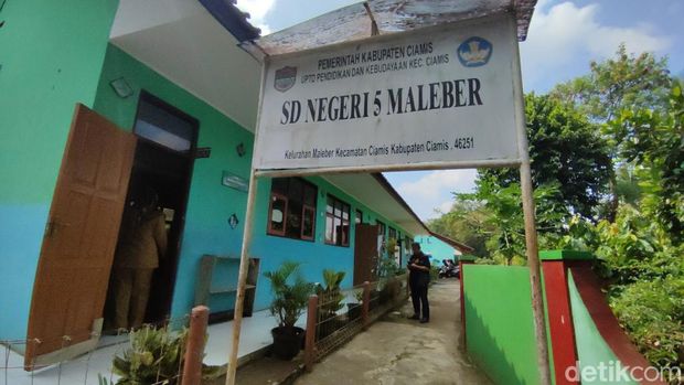 Kijang yang ditangkap usai masuk kelas di Ciamis.