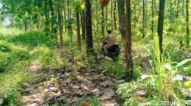 Lokasi Ertiga terjebak di hutan Madiun