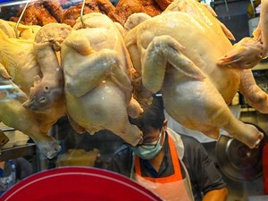 Gercep! RI Bakal Ekspor Ayam ke Singapura, Rebut Pasar Malaysia