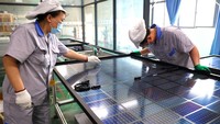 Panel surya bekerja dengan menangkap energi matahari untuk diubah menjadi listrik.