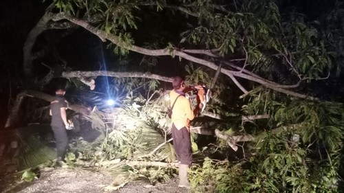 Petugas BPBD Karangasem dan personil Polsek Abang serta masyarakat saat melakukan penanganan pohon tumbang yang tutup akses jalan Amlapura-Singaraja, Selasa (31/5/2022) malam.