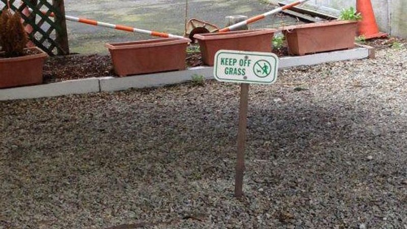 Potret Konyol Kesalahan Sehari-hari yang Terekam Kamera, Kok Bisa Sih?