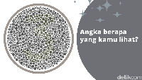 Apakah kamu bisa melihat angka 3 di gambar tersebut? Foto: Dharmajati Yusuf Fadli/detikHealth