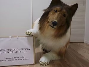 Fantasi Liar Pria yang Hidup Jadi Anjing