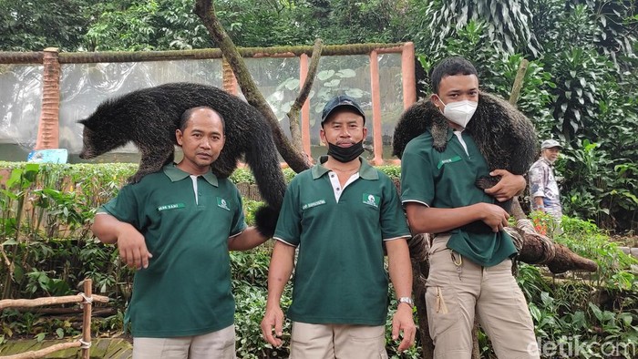 Trio keeper Kebun Binatang Bandung.