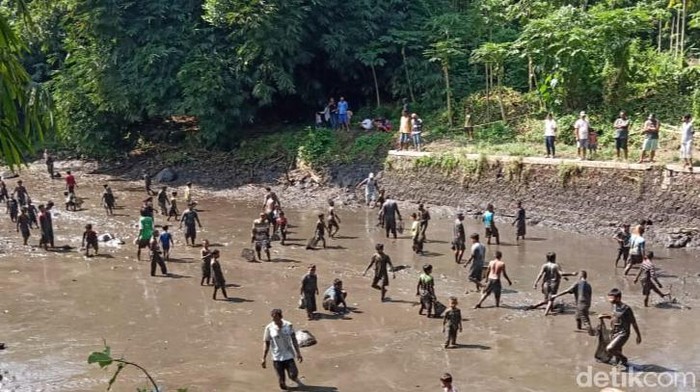 Warga berebut ikan di Bendung Desa Demak Ijo, Kecamatan Karangnongko, Klaten, Senin (30/5/2022).