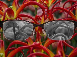 Buta Warna Total Vs Parsial, Apa Bedanya?